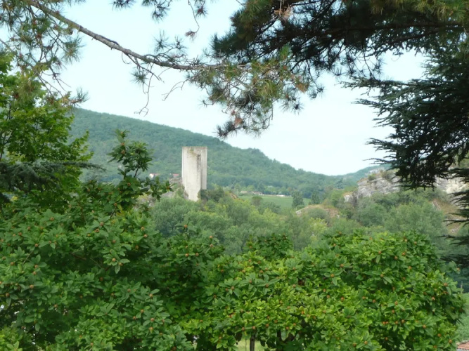 L'orée du bois
