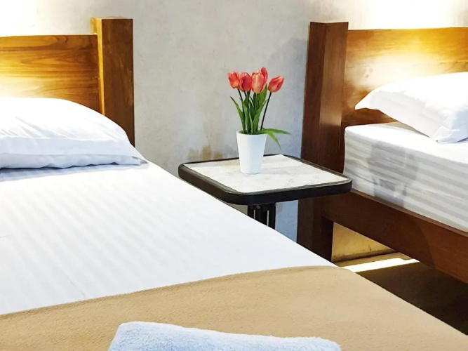Maple Tree Homestay