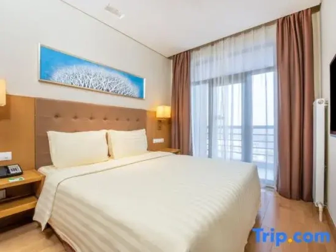 1 Bedroom Suite