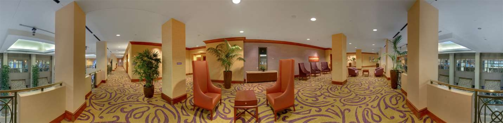 Hilton Charlotte Uptown photo 17