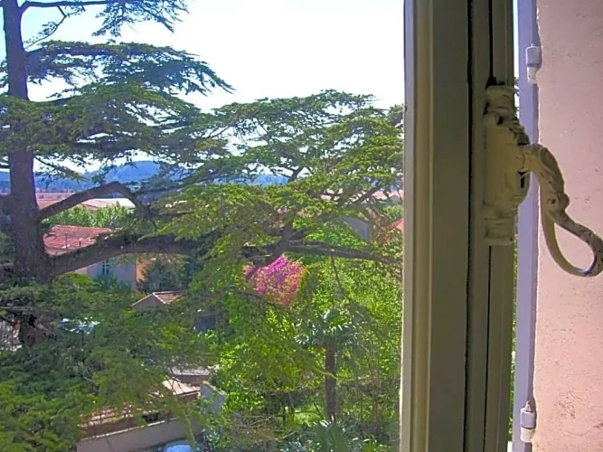 Superior Double room with view