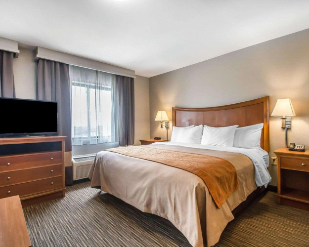 Comfort Inn South - Springfield