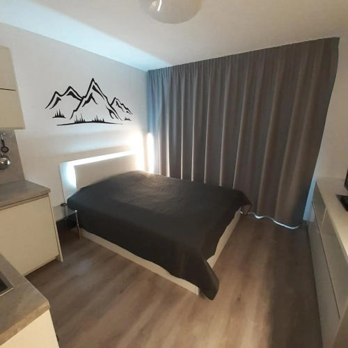 Mountain View Studio Apartment