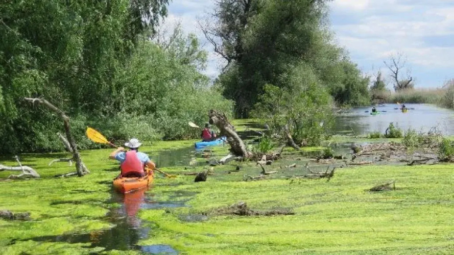 Experiente in Delta Dunarii