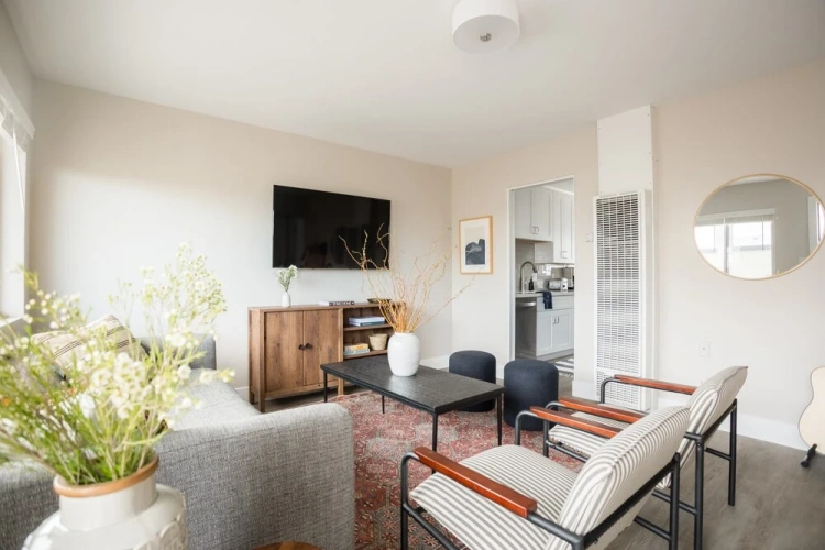 1 Bedroom Apartment
