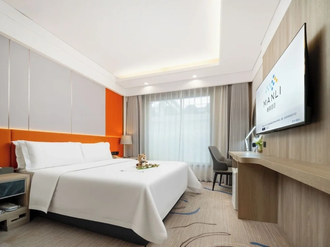 Deluxe Single room