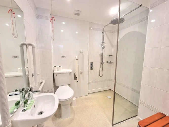 1 Bedroom Standard Apartment