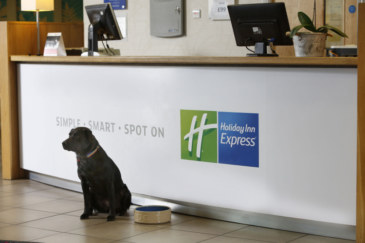 Holiday Inn Express Folkestone - Channel Tunnel photo 18