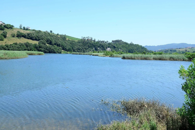 Finca El Mazo