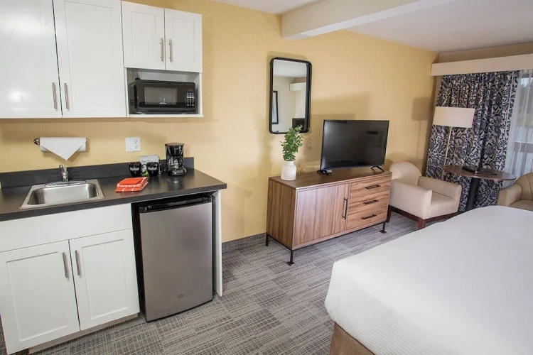 Deluxe Double Studio with lake view