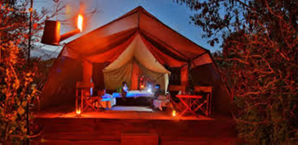 Leopard Trails