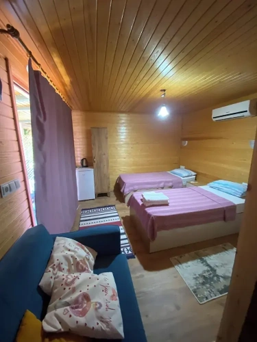 Standard Twin room with balcony and with garden view
