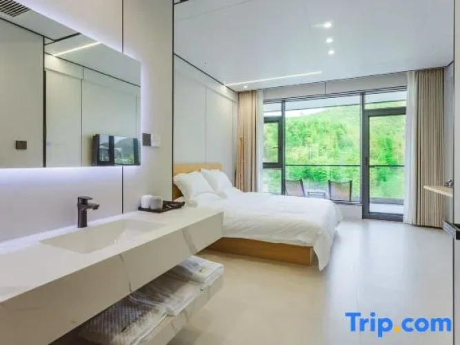 Standard Double room with balcony and with view