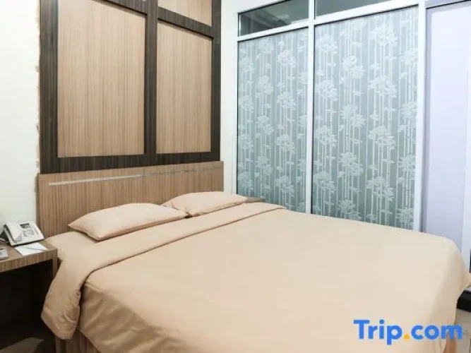 Standard Double room with city view