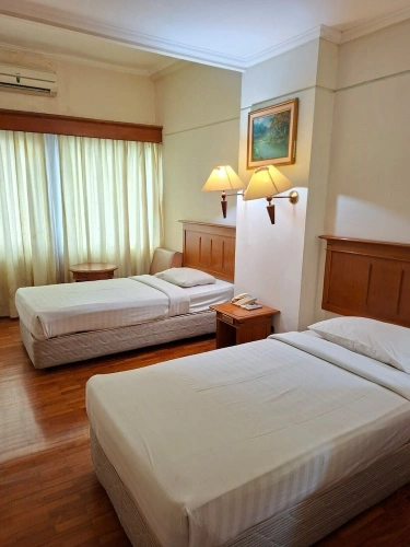 Superior Twin room with city view
