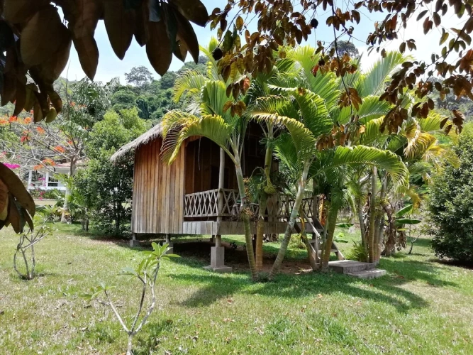 Standard Double Bungalow