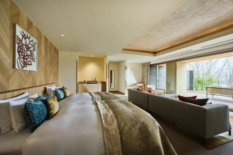 Deluxe Twin room with land view