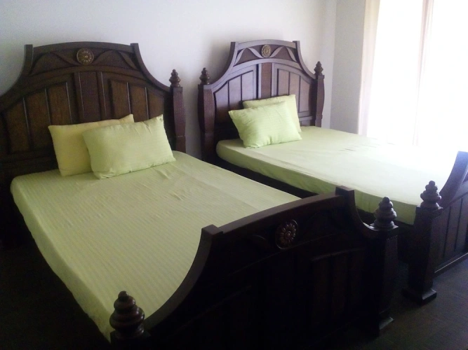 Deluxe Twin room with balcony and with garden view