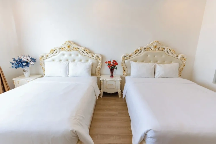 Superior Twin room with city view