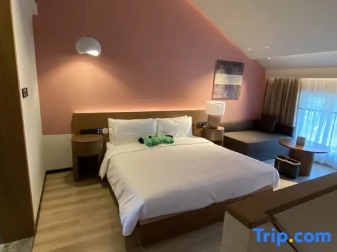 Standard Double Duplex room