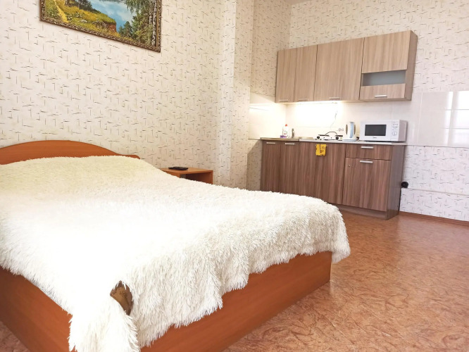 Фотография номера квартиры Апартаменты Студия У Пермской ярмарки