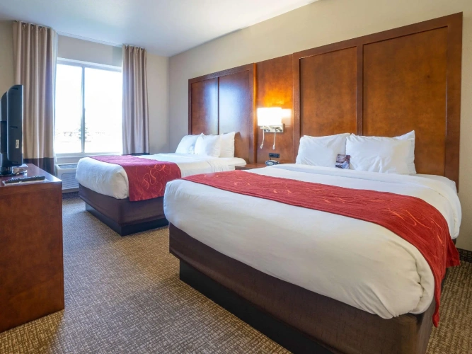 Quadruple Suite
