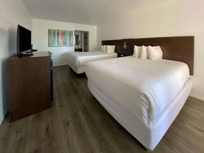 Quadruple Suite