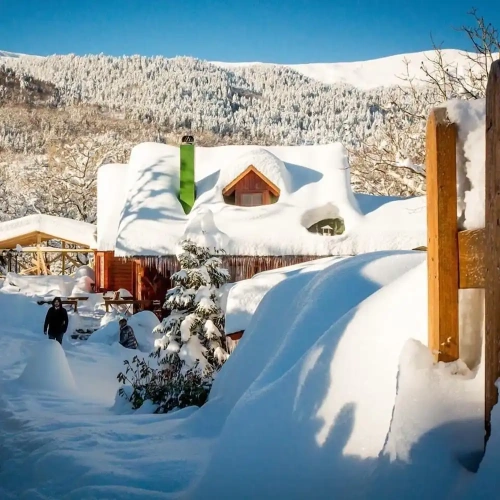 Deluxe Chalet
