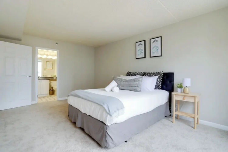 Pentagon City Apt Cozy & Convenient