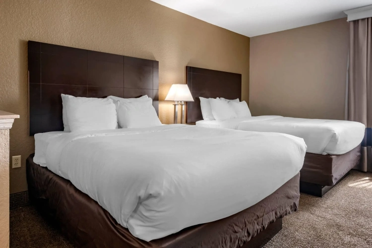 Quadruple Suite