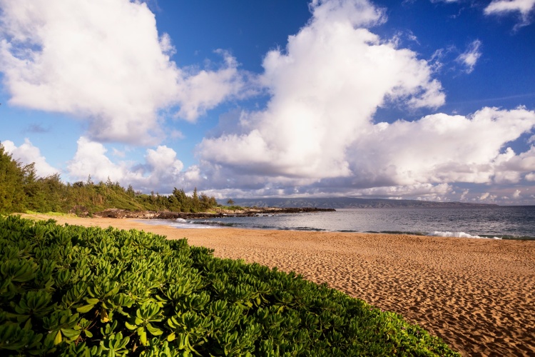 The Ritz-Carlton Maui, Kapalua photo 34