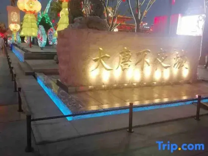 Xinyuanbinguan