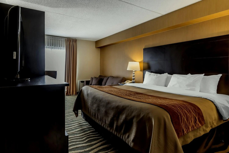 Quality Inn