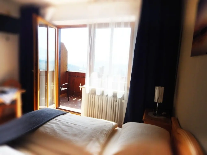 Standard Double room with lake view