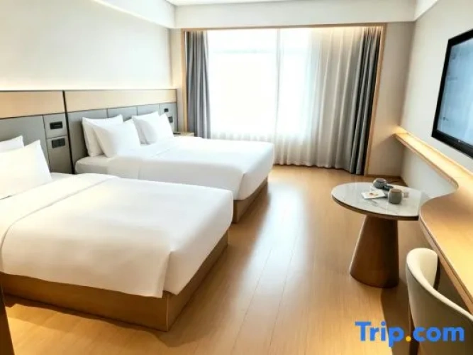 Standard Twin Family room