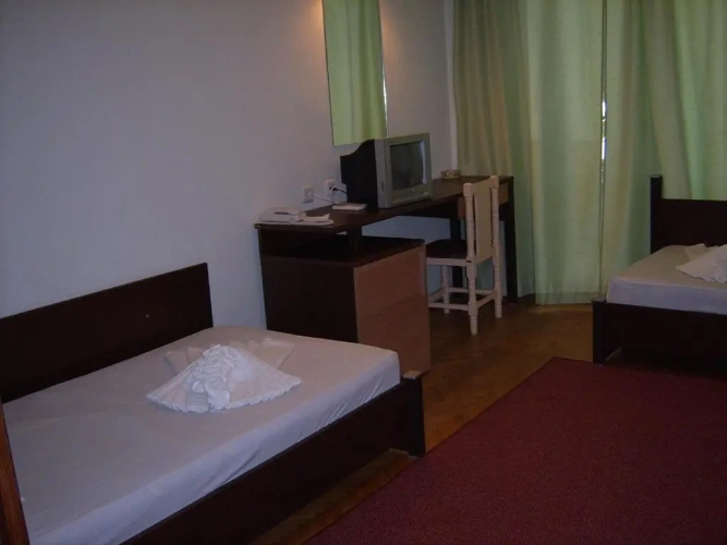 Standard Double room with park view