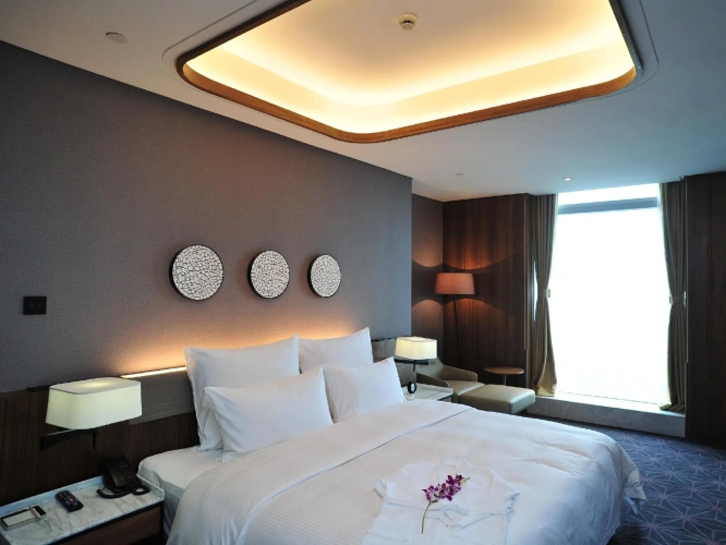 Executive Suite