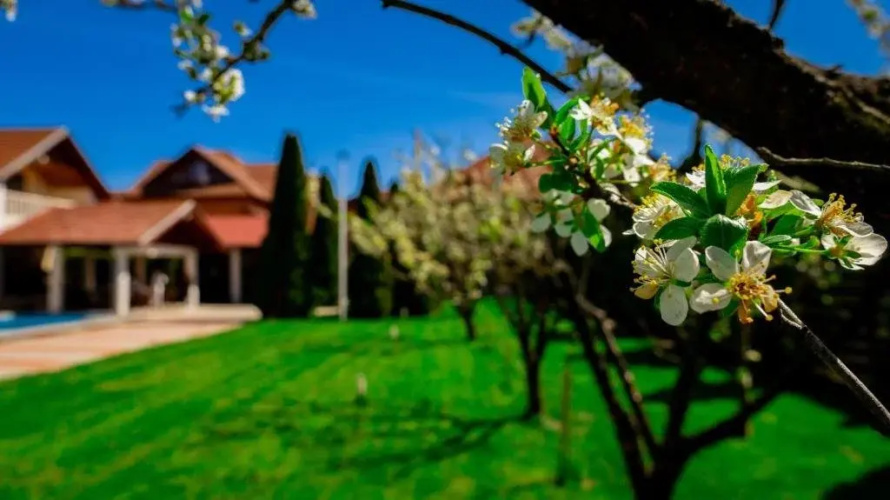 . TRANSYLVANIA HILLS Pensiune turistica