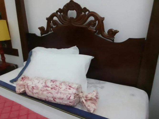 Deluxe Double room with balcony and with view