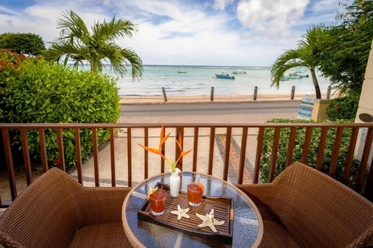 2 Bedrooms Basement Suite with sea view
