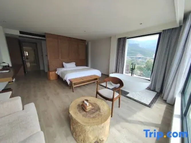 Standard Double room with lake view