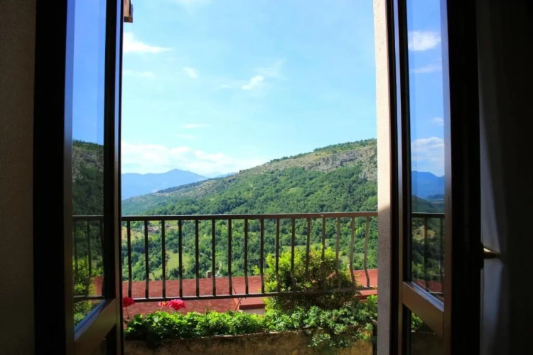 1 Bedroom Suite