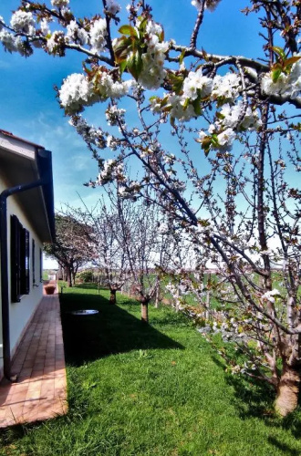 Agriturismo I Debbi