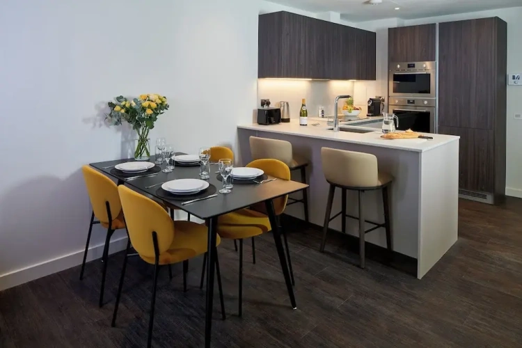 Deluxe Apartment