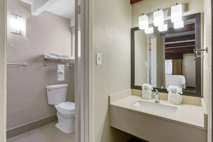 Quadruple Suite