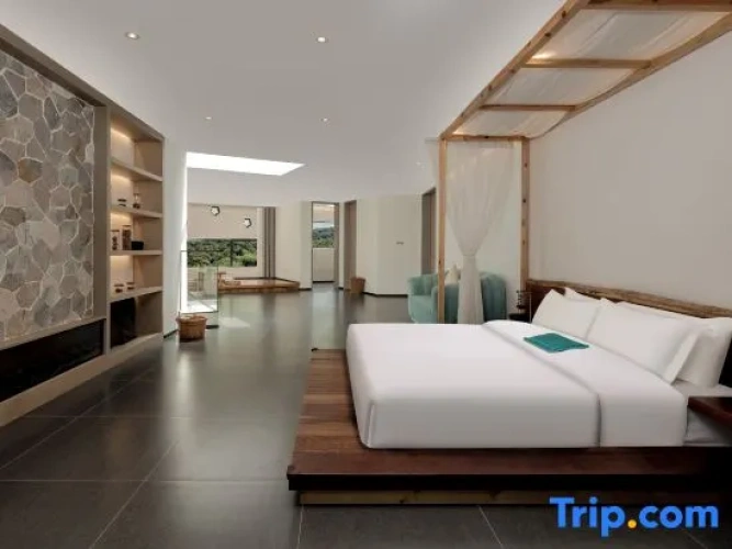 Duplex Suite