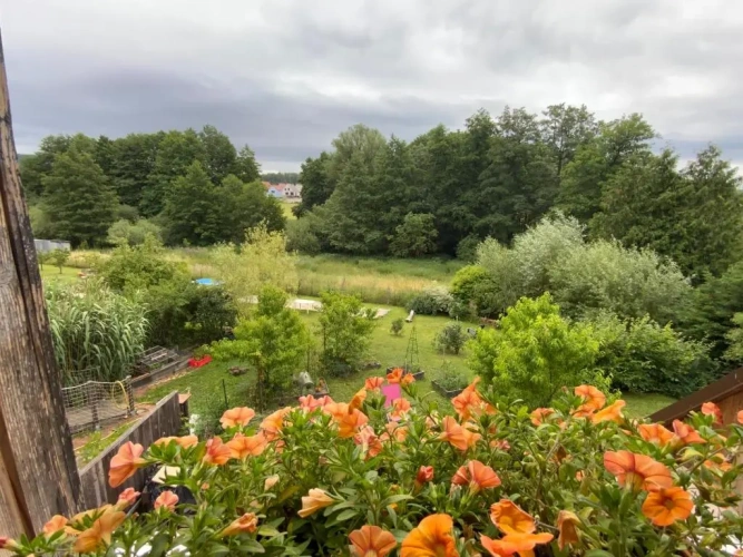 Standard Double room with garden view