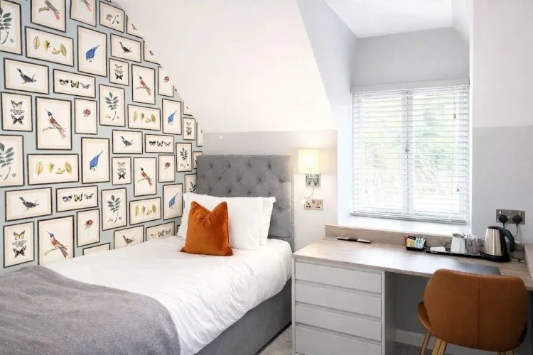 Classic Single room