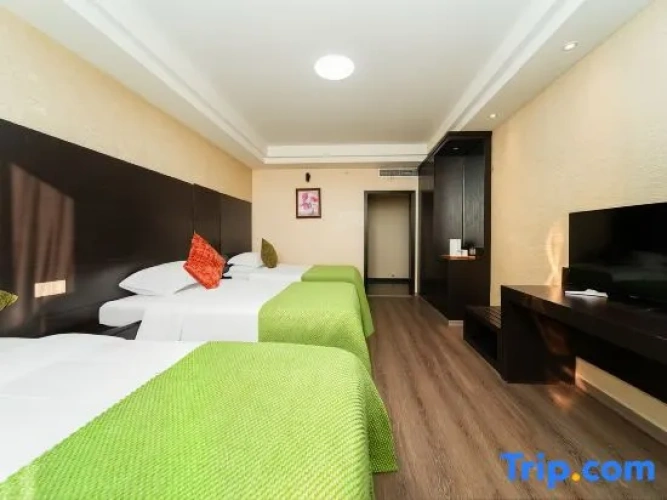 Deluxe Triple room