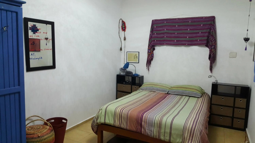 Cozy & Full Apt in Coyoacan Great for Long Stays